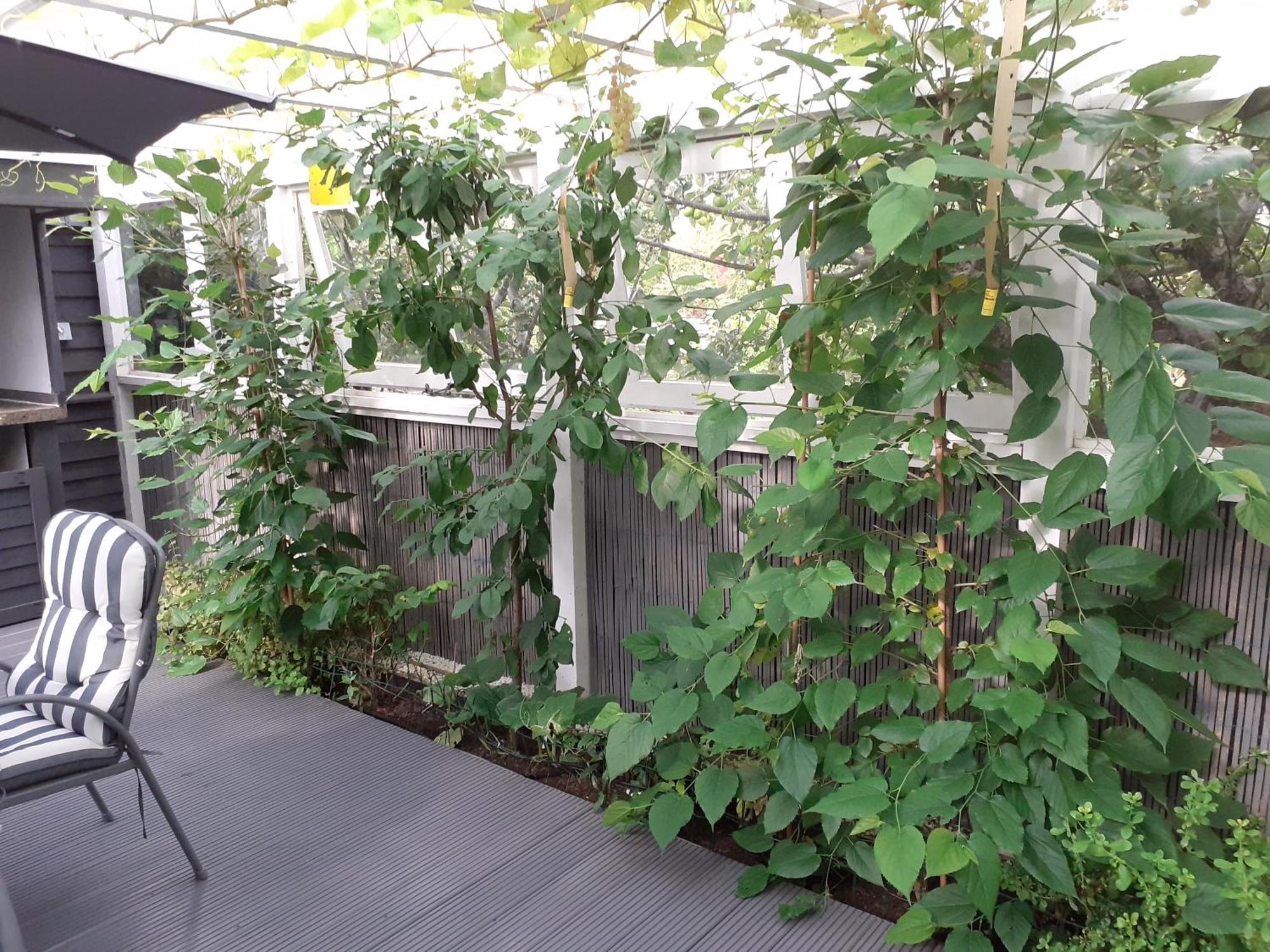 The Treehouse By Airlie Apartment Nairn Bagian luar foto